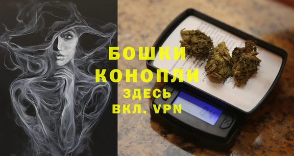 крисы Новокубанск