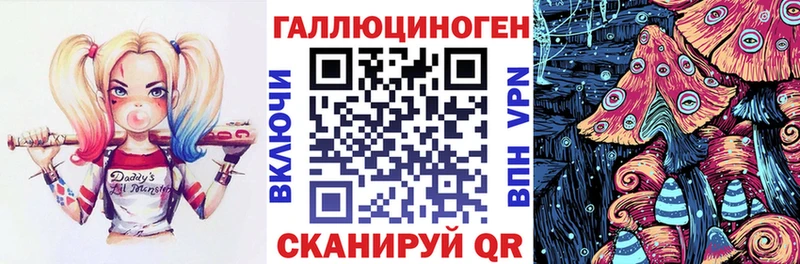 Галлюциногенные грибы GOLDEN TEACHER  Купить закладки  Чкаловск 
